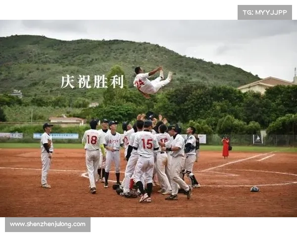 2016棒球冠军