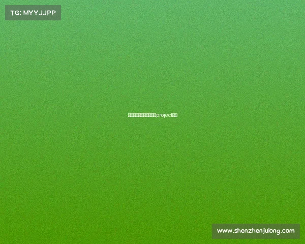 东方赛车队赛事视频东方project赛车