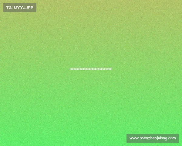 探索格斗赛事全程流程筹备搏击对决裁判裁决胜利庆典完整指南